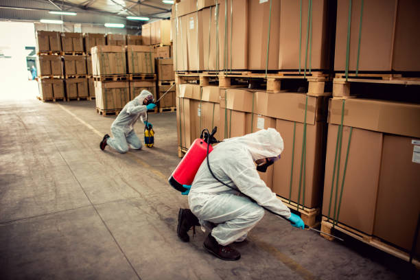 Best Pest Prevention Services  in New Bremen, OH