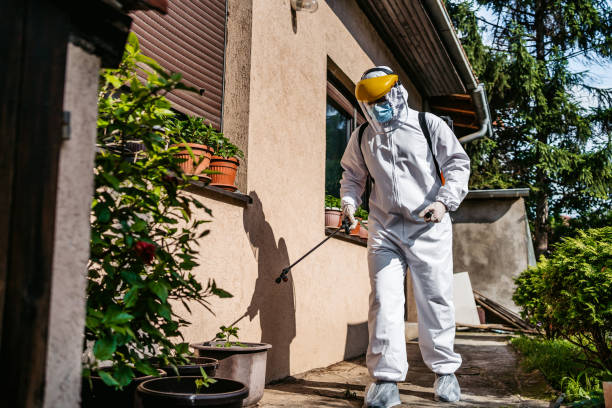 Best Mosquito Control Services  in New Bremen, OH