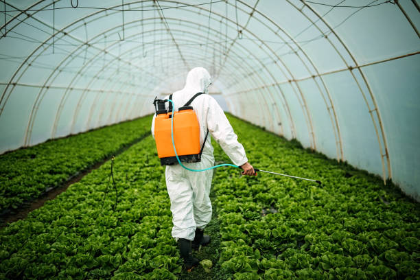 Professional Pest Control in New Bremen, OH
