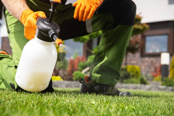 Best Termite Control Services  in New Bremen, OH