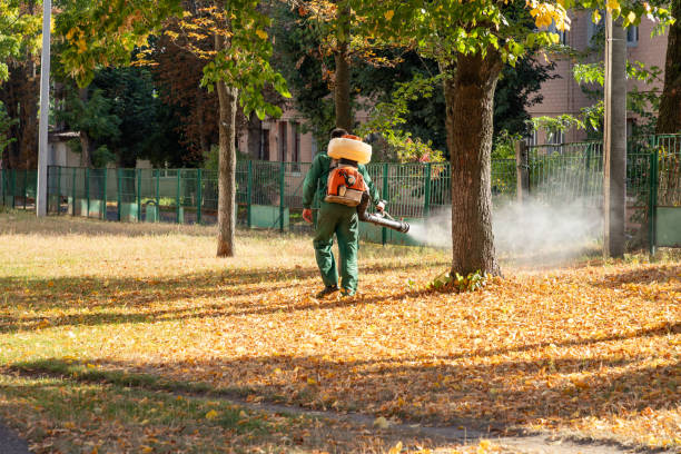 Best Wildlife Control Services  in New Bremen, OH