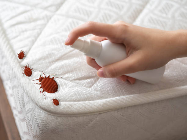 Best Bed Bug Extermination  in New Bremen, OH
