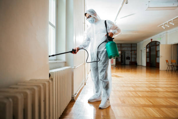 Best Best Pest Control Companies  in New Bremen, OH