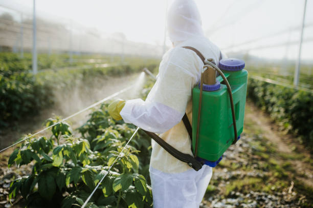 Best Affordable Pest Control Services  in New Bremen, OH